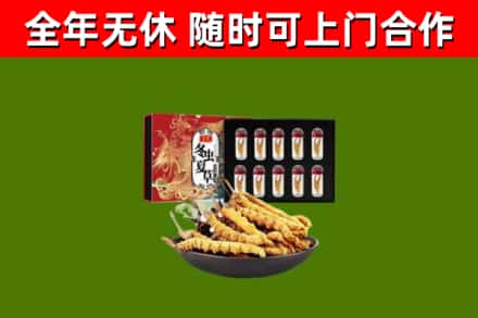 苏州烟酒回收冬虫夏草礼盒.jpg